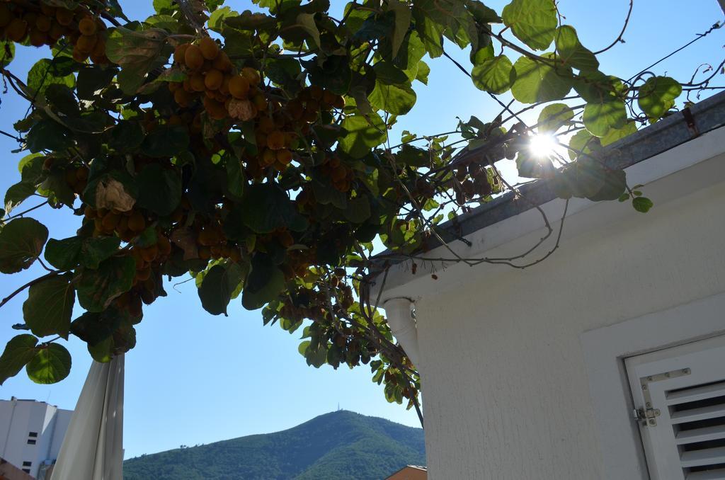 Casablanca Apartments Budva Zewnętrze zdjęcie